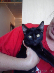 телефон 56-48-52 #703389