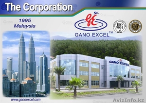 Самая стабильная сетевая компания со щедрым маркетингом в Казахстане #703660