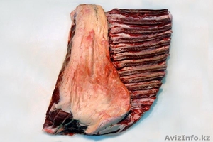 Продам мясо конины-казы #705707