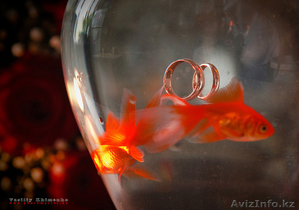 Свадебный фотограф в Караганде,  Астане #163218