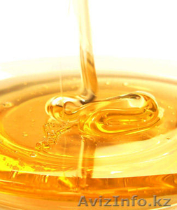 Мед Мед Мед Мед Мед #742338