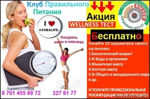 Клуб Здорового Образа Жизни #732169