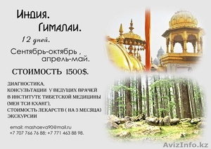 Индия. Гималаи. Диагностика,  лечение,  экскурсии,  проживание. 12 дней.  #744426