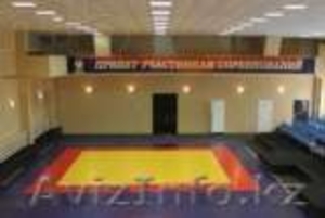 Ковер борцовский, пр-во Корея(квадрат) #743703