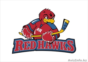 Объявляется набор в любительскую хоккейную команду ! #736036