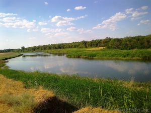 Уютный дом у реки #736785