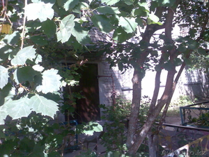 В центре правобережья уютная,  теплая 3-х комнатная квартира  #748412