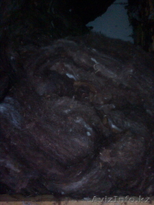 Продам мытую,  чесанную овечью шерсть. #737703
