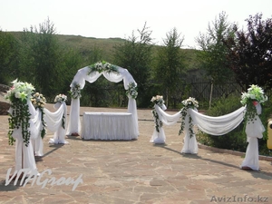 Компания VITA Group   #731824