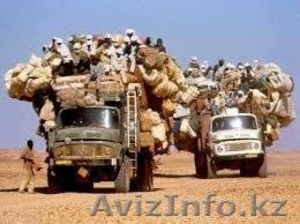 Опытные мебельщики-грузчики Алматы #744502