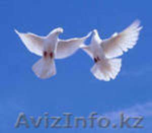 Приворот на супруга.Гадание Таро. #738426