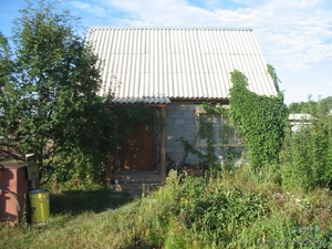Дродается дача со Восточник степной #740469