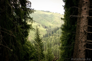 Фотосессии,  услуги фотографа #729527