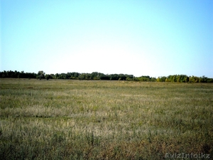 продам  землю 50 га. Гос Акт.Целевое назначение К/Х под сад,  огород.  #739506