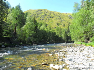 Клубная Карта Путешествий сроком на 5лет. #725197