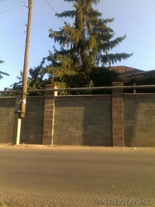 Mahamhanov Saleh #753231