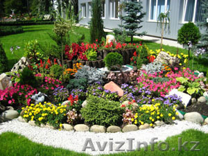  «Озеленение», «Ландшафтный дизайн»,  «Дизайн итерьера». #764682