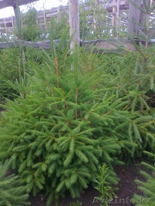 Хандыс Игорь,  8 777 879 1551,  8 777 879 14 41 #762676