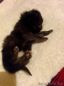 gulvira.1987@mail.ru #762727