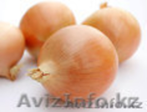 Лук репчатый Манас(оригинал) 87714666095 #752053