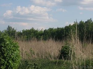 Распродажа земли #753290