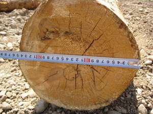 Деревянные ящики под заказ #750469