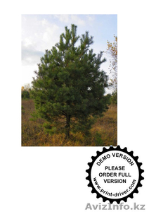 ТОО Best Garant KAZ #750239