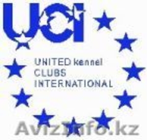 Петропавловск ОфициОфициальный представитель в Казахстане Международной  Обществ #750017