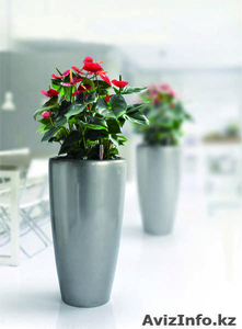 Вазоны (кашпо,  горшки) с автоматической системой полива #754788