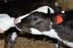  завод цех  линия ЗЦМ 2-10 тонн в час под ключ! #318555