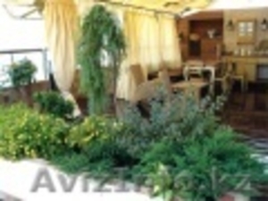 квартира должна ожить #767467