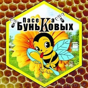 Продукты пчеловодства Усть-Каменогорск #775108