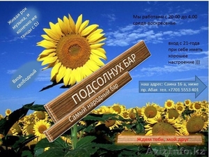 Подсолнух Бар Самый Народный Бар                                                 #769669