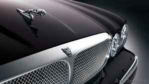 Обучаю вождению с нуля  #768380