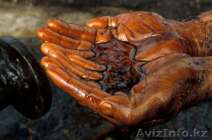 Нефтепродукты для Вас! #774804