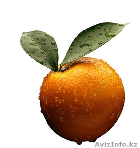 цытрусовые из испании #779074