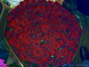 РОЗЫ НЕДОРОГО АЛМАТЫ+Доставка #795362