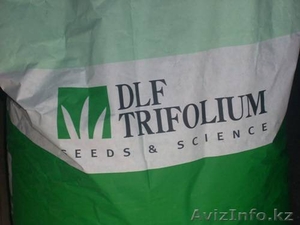Семена газонных трав DLF-Trifolium #794796