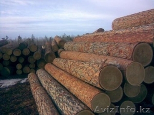 пиломатериалы из хвойных пород #793663