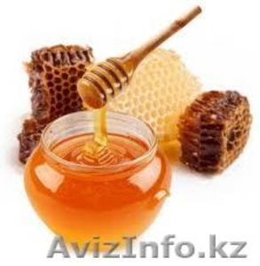 Мед Алтайский таежный #795898