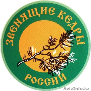 Продукция из кедра #785135