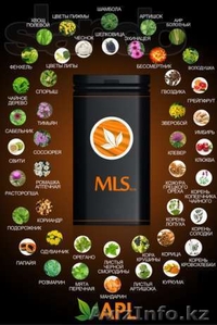 MLS - УЗНАЙ ВКУС СВОБОДЫ И НЕЗАВИСИМОСТИ #796834