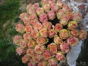 Доставка Цветов Алматы #795354