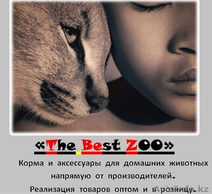 новый зоомагазин в Алмате ZOOMARKET #797821