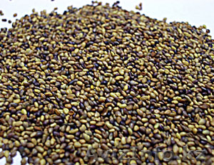 Семена люцерны,  клевера№ #792321