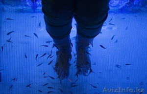 Истинным ценителям SPA – процедур! #703356