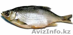 Продам вяленную и копченую рыбу собственного производства #792961