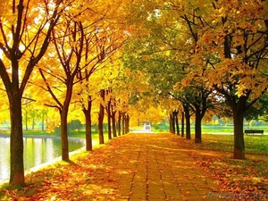 Весь спектр бухгалтерских услуг!!!!!! #804335