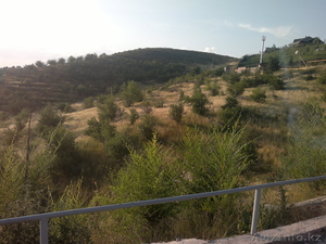 Участок на Ремизовке! #802741