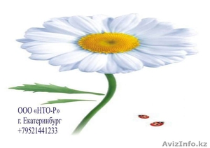 Фосфорная кислота (H3PO4) Ортфосфорная кислоты 72, 5% #801905